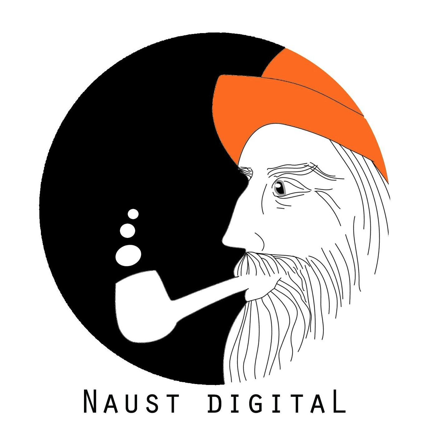 Naust is a digital record label based in the north of Norway focusing on deep electronic music inspirated by the northern nature. -Lofoten Islands is our insp.
