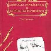 Potterhead Tributo Idhunita Nefilim Wallflower Semidios Divergente C.Grey Twilighter/ @EmWatson♥ librosy+libros  ! Amo Argentina. (spain)☺ #followback