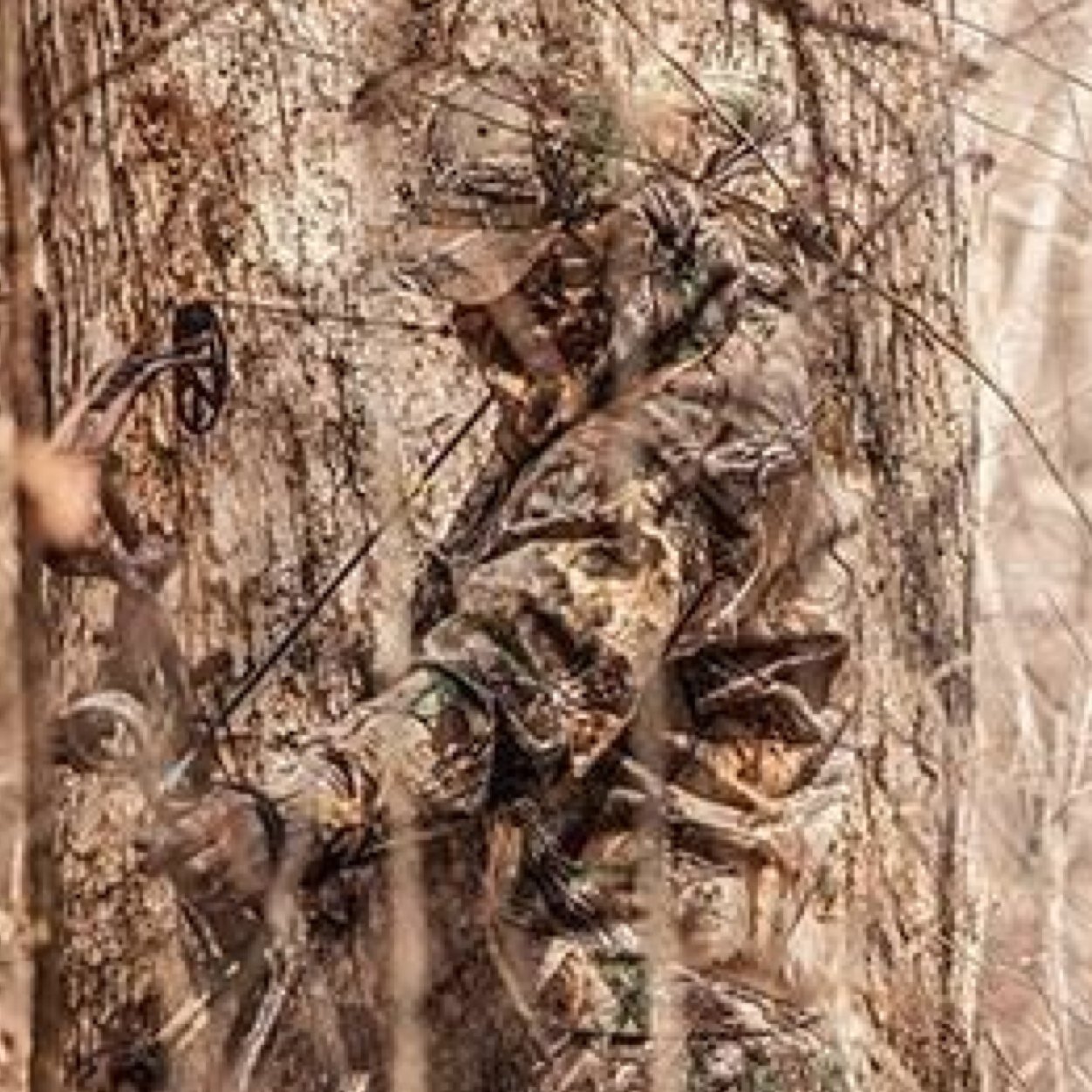 Country boy that loves havin fun and shootin big bucks.