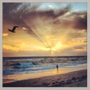 Polly Daugherty - @Pdaughe1 - Twitter