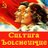 cbolchevique's profile image