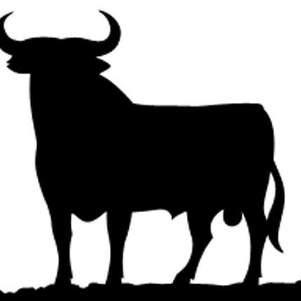 For lovers of Spain and all things Spanish