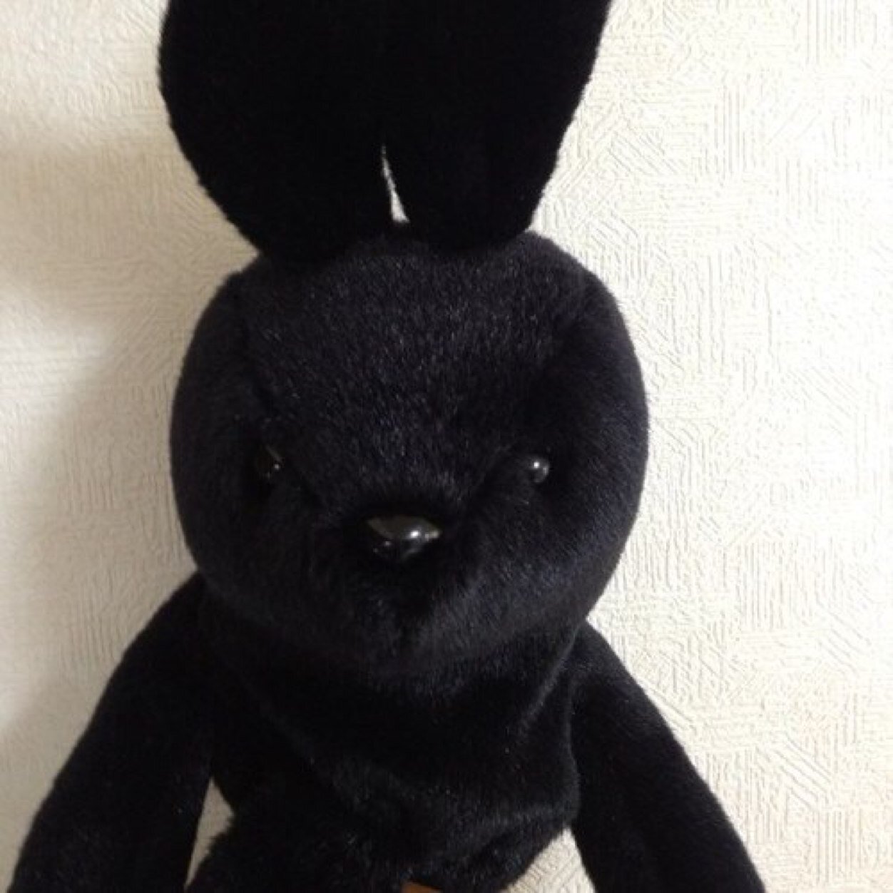 shsmsk's profile picture. 清く 正しく 美しく。 永久に日本の心は変わりません。