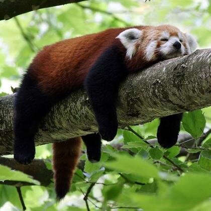 sanmarce's profile picture. 