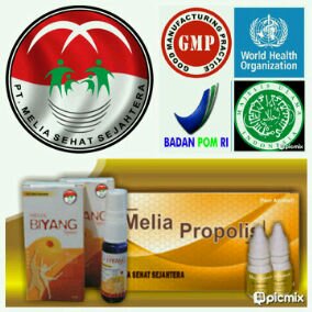 Agen Resmi member MSS | Melia Biyang & Melia Propolis (Produk Herbal Alami untuk Kesehatan dan Cantik Luar Dalam) | More Info / Order CP: 323E9E52 / 08987060347