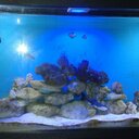 Victor Anibal Prado  - @VictorAnibalPra - Twitter