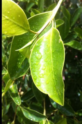 masaat555's profile picture. 