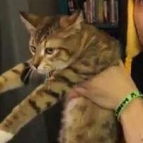 gatita_Hachi's profile picture. viviendo en la casa del @Rubiu5 pff pero soy feliz