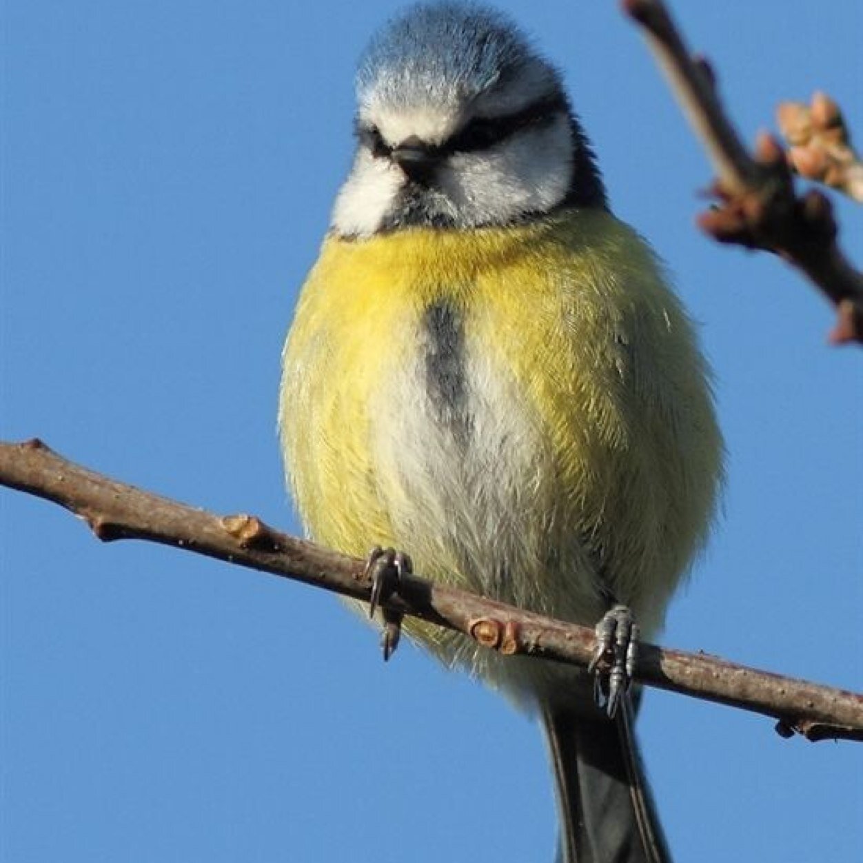 joannem23074137's profile picture. 