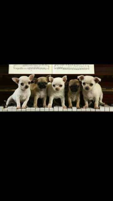 c8959397's profile picture. 