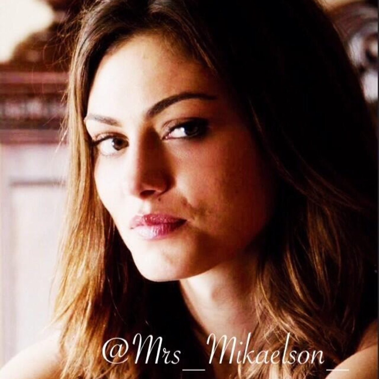 From Crescent Moon Bloodline and Mother to Hope. Hybrid with sweet attitude {Single}