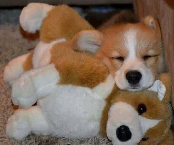 gotothebuck's profile picture. 