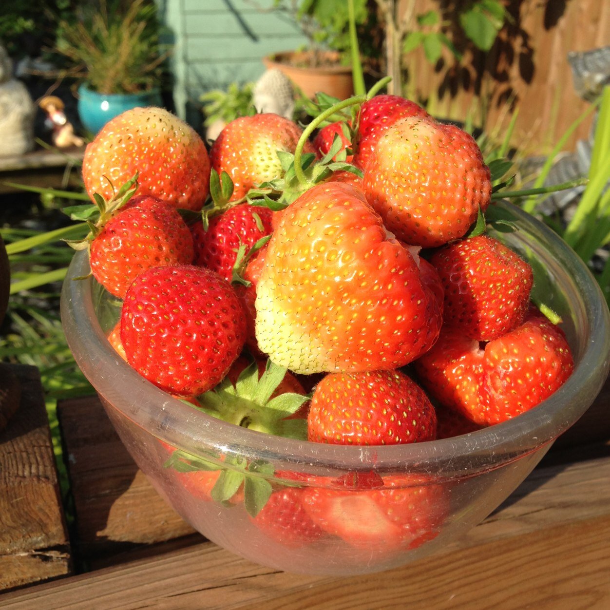 Goodlifeish's profile picture. 