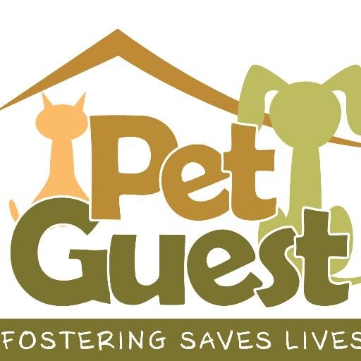 Help us save lives by fostering animals. You can earn rewards to get cool stuff in our Treat store!