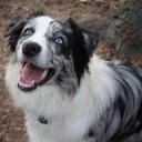 Lauren Heiser - @Dream_Scripter - Twitter