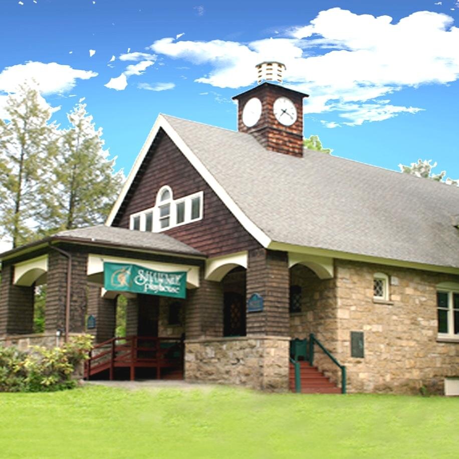 Live Theatre in the heart of the Poconos! Comedies, Dramas, Pulitzer Prize winning plays, Musicals, Children's Shows...something for everyone!