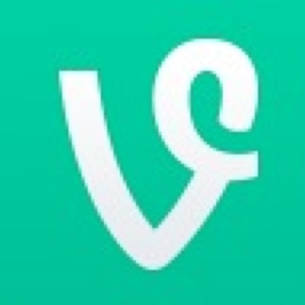 Vines all the time