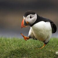 Joakim Lindblad (@joakim_lindblad) 's Twitter Profile Photo Joakim Lindblad (@joakim_lindblad) 's Twitter Profile Photo