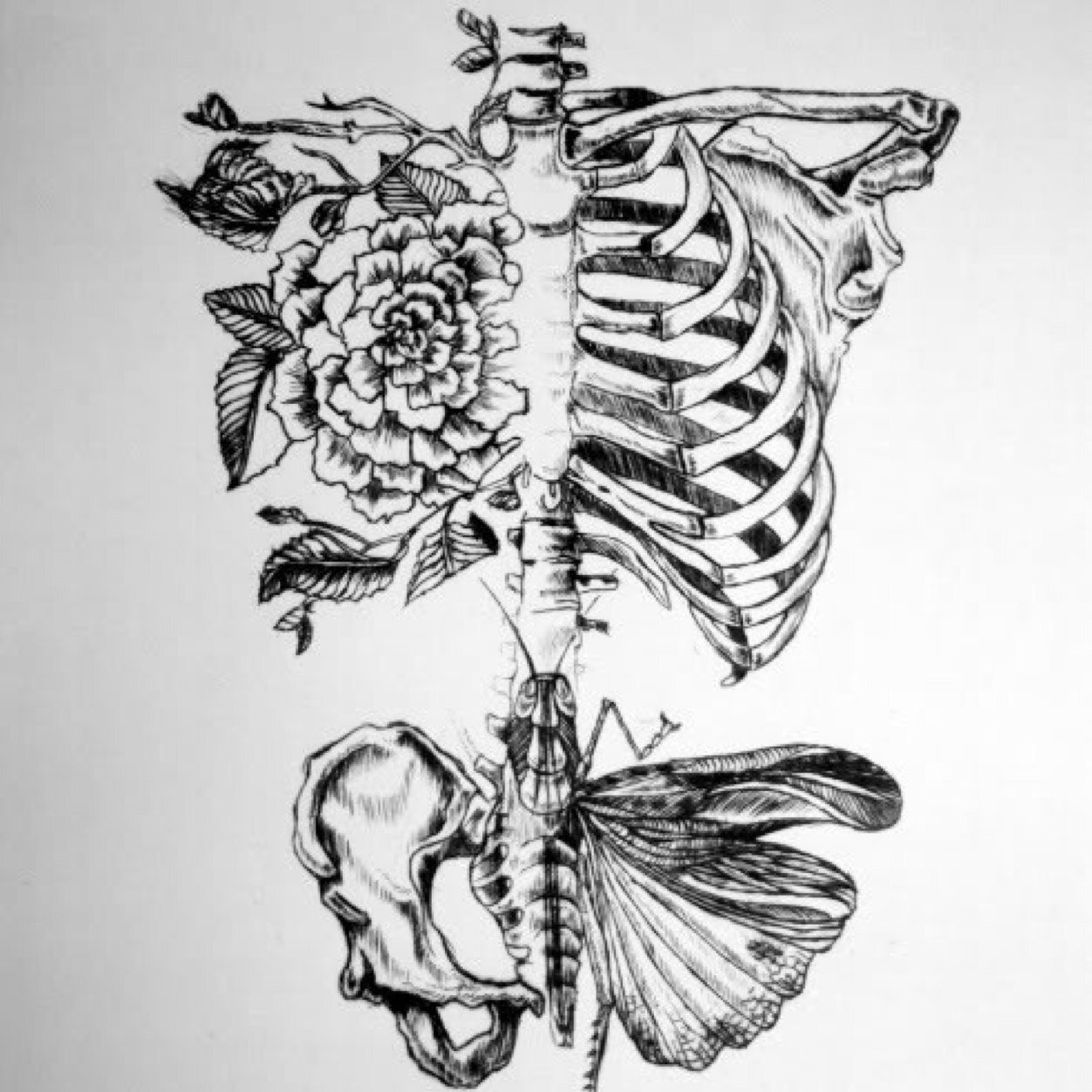 They keep saying it gets better and i agree, my future involves a noose around my neck.