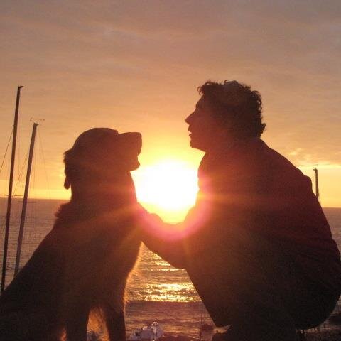 TodoPerfecto_cl's profile picture. 