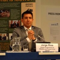 Jorge Eduardo Rios (@unodc_jorgerios) 's Twitter Profile