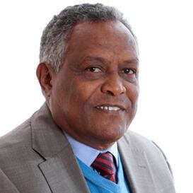 Permanent Representative of Eritrea to the United Nations