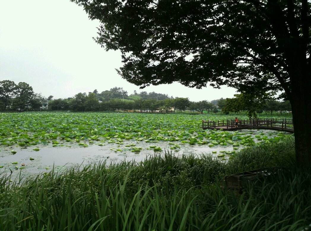 hye8inone's profile picture. Everything is from PEACE