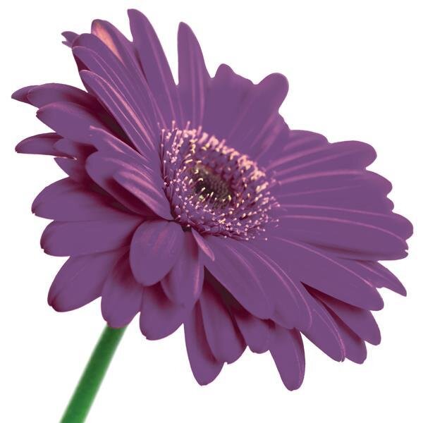 Bolton's leading property specialist, we’ll help you find an ideal property to suit your budget and area requirements.