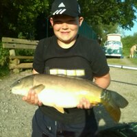 Will fisher  (@wbeedell) 's Twitter Profile