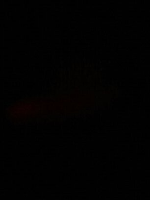 oxoNosheenoxo's profile picture. Follow @TheOnlyNosh