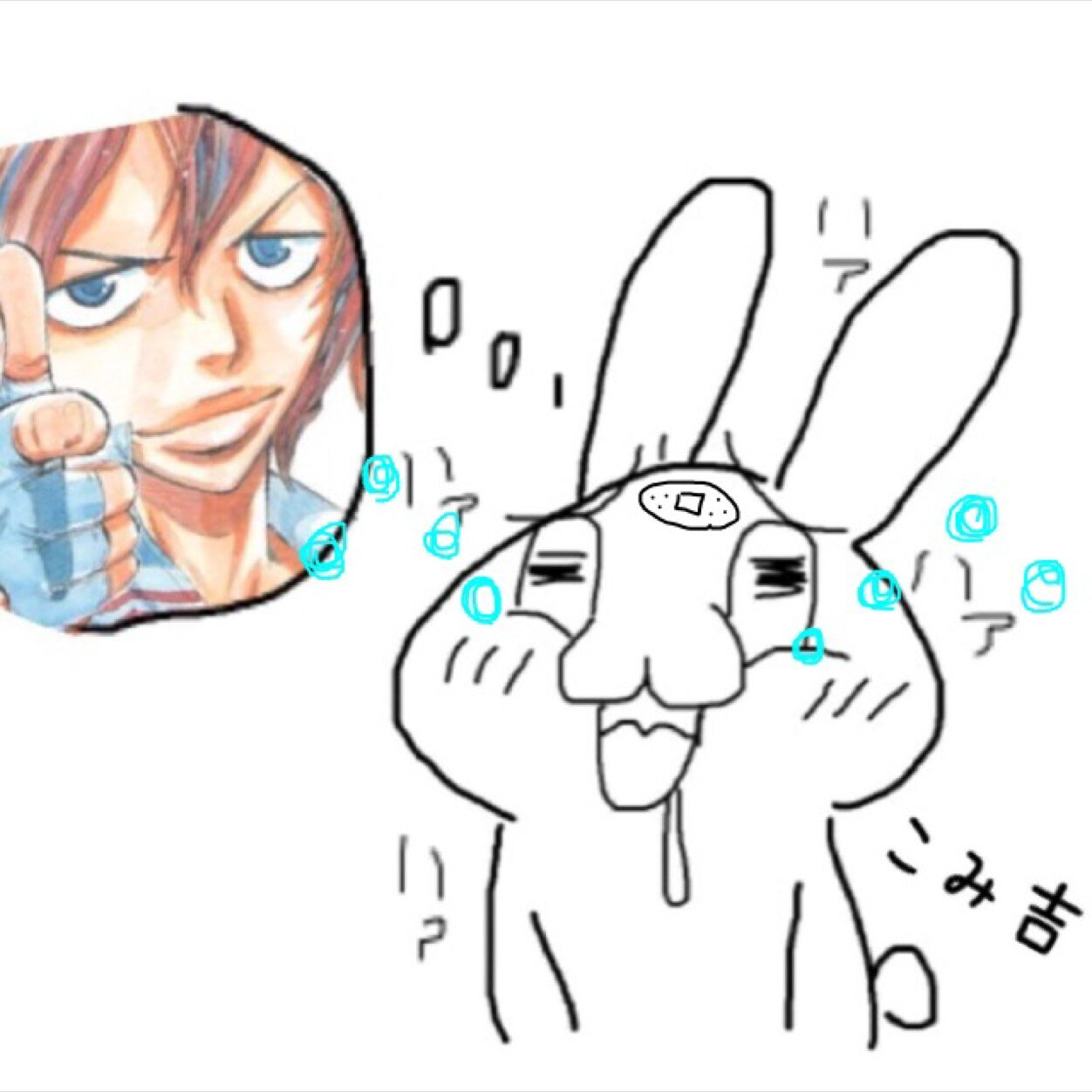 こみ吉さんのプロフィール画像