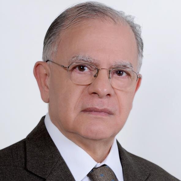 Portuguese-English bilingual (U.S. made to be born in Brazil) Expert and Curator of Transnational Legal Matters