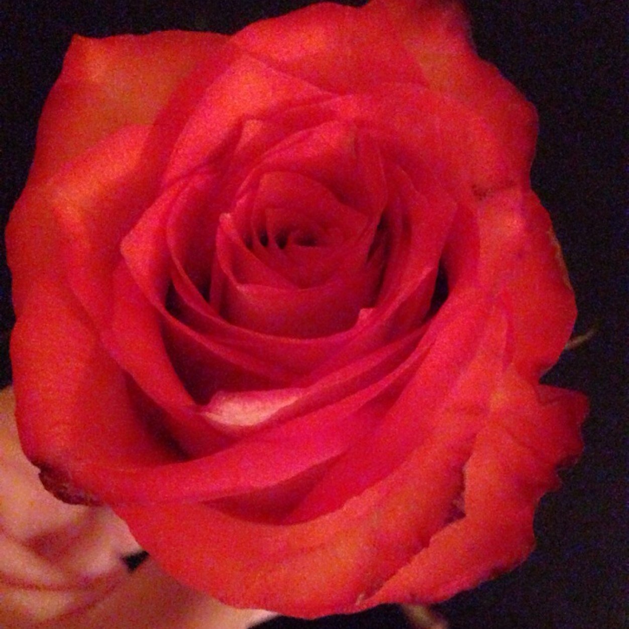 delvallesantoni's profile picture. Amo a Dios. El Creador. TOTALIDAD. Espiritu, Alma, una con el UNIVERSO. LUZ INFINITA. ✨Kabbalah