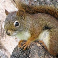 Mrs. Leff (@mrs_leff) 's Twitter Profile