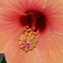 Thomas Stamm - @thomas_stamm - Twitter