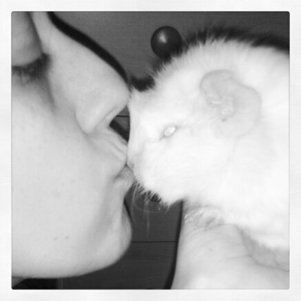 MayaAmyAmai's profile picture. 