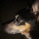 Judy Lemus - @hotsciencepie - Twitter