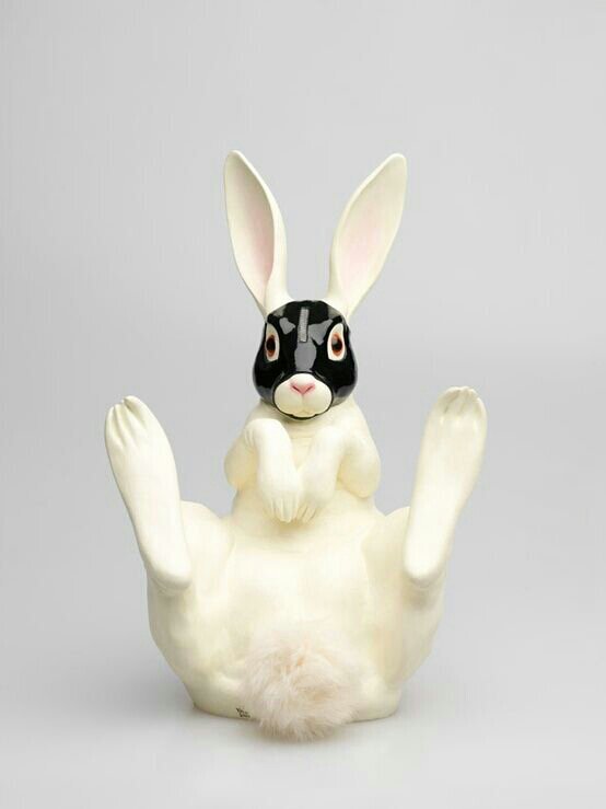 Imbunnyjones's profile picture. Awake. ☮️🌸🤍