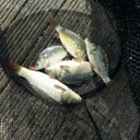 Gary Forster - @garydadstaxi - Twitter