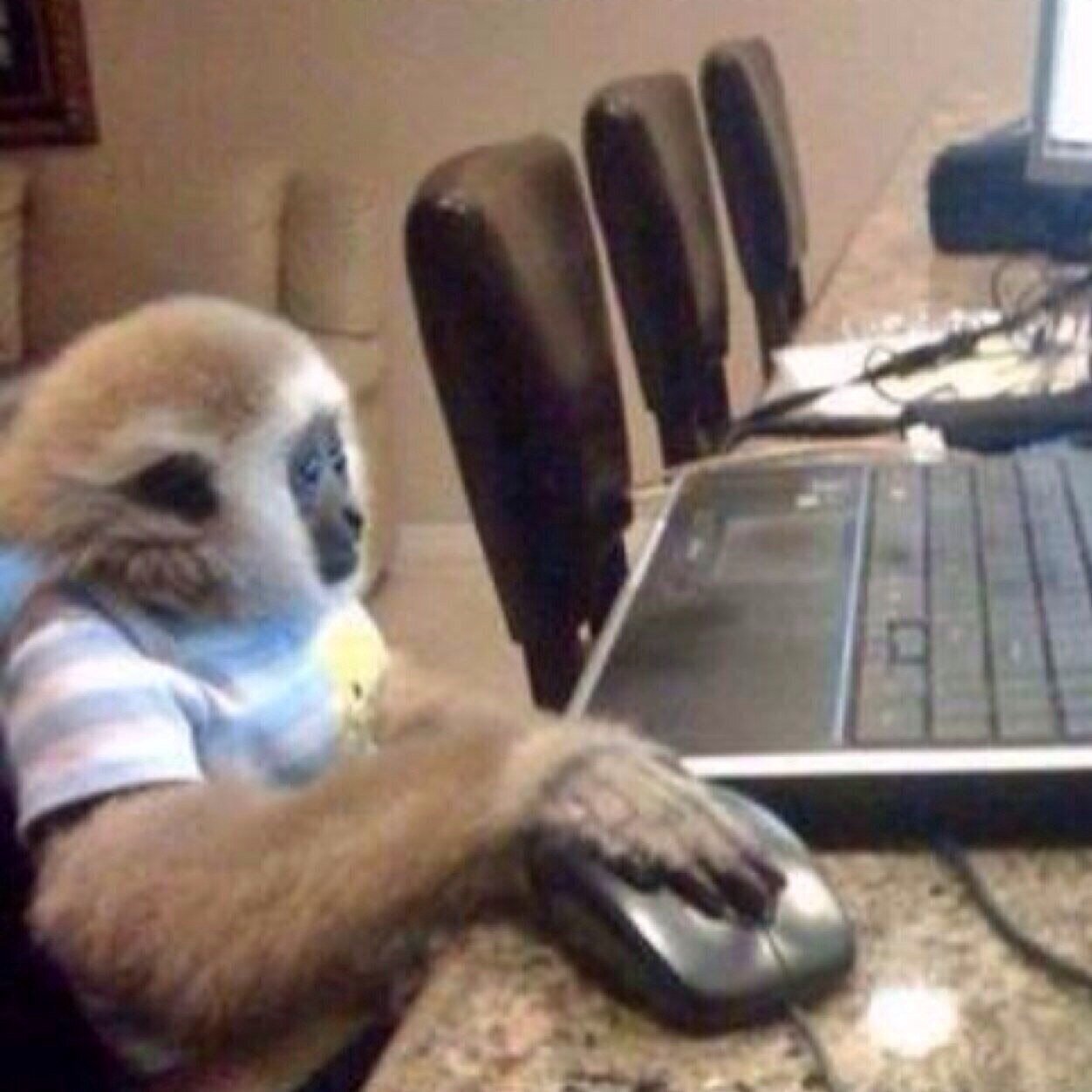 OD_UpdatesFr's profile picture. New acc. || Sharkies || One direction || Austin Mahone || 5SOS || Janoskians || The Vamps