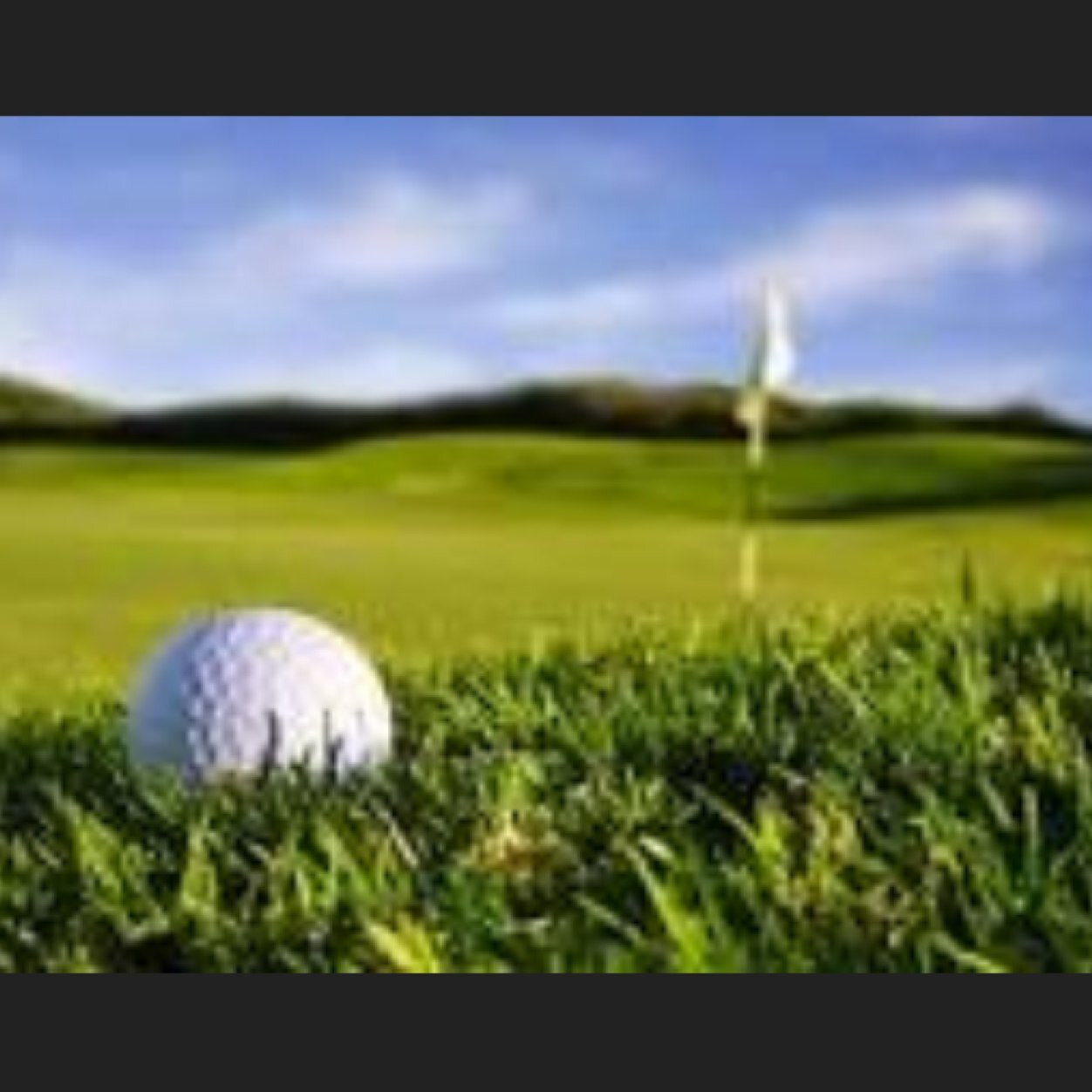 MemesGolf's profile picture. 