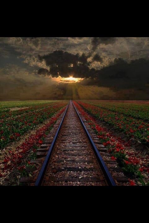 paige_jana's profile picture. This is a new day for new begiinings!