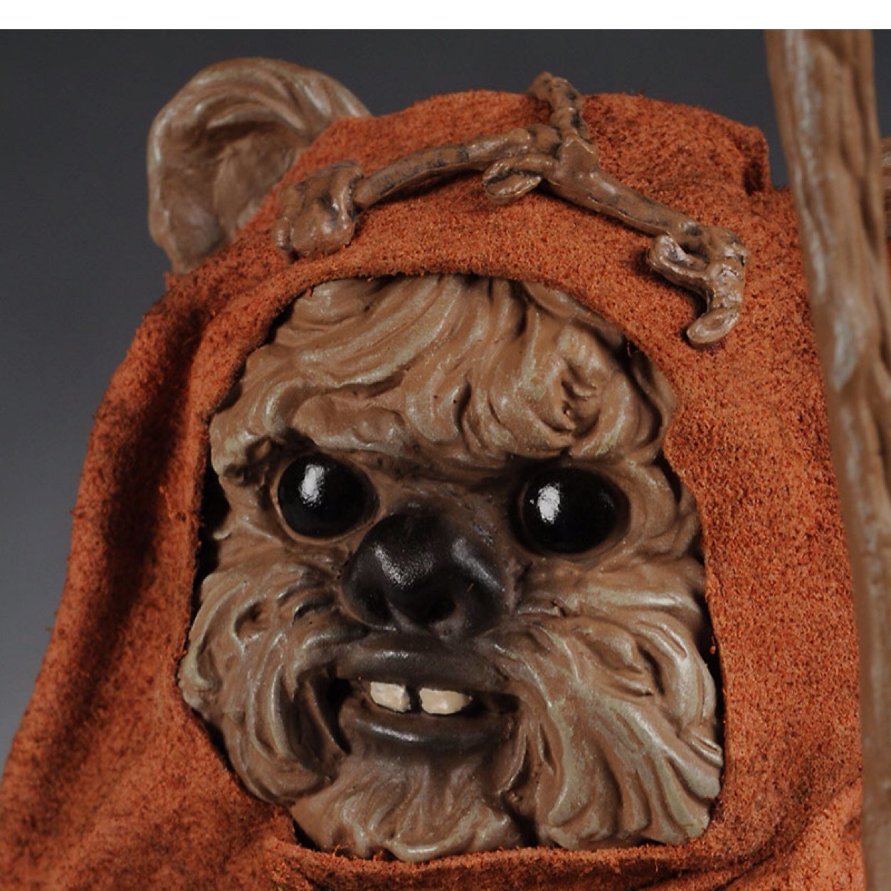 THE EWOKS ARE HERE