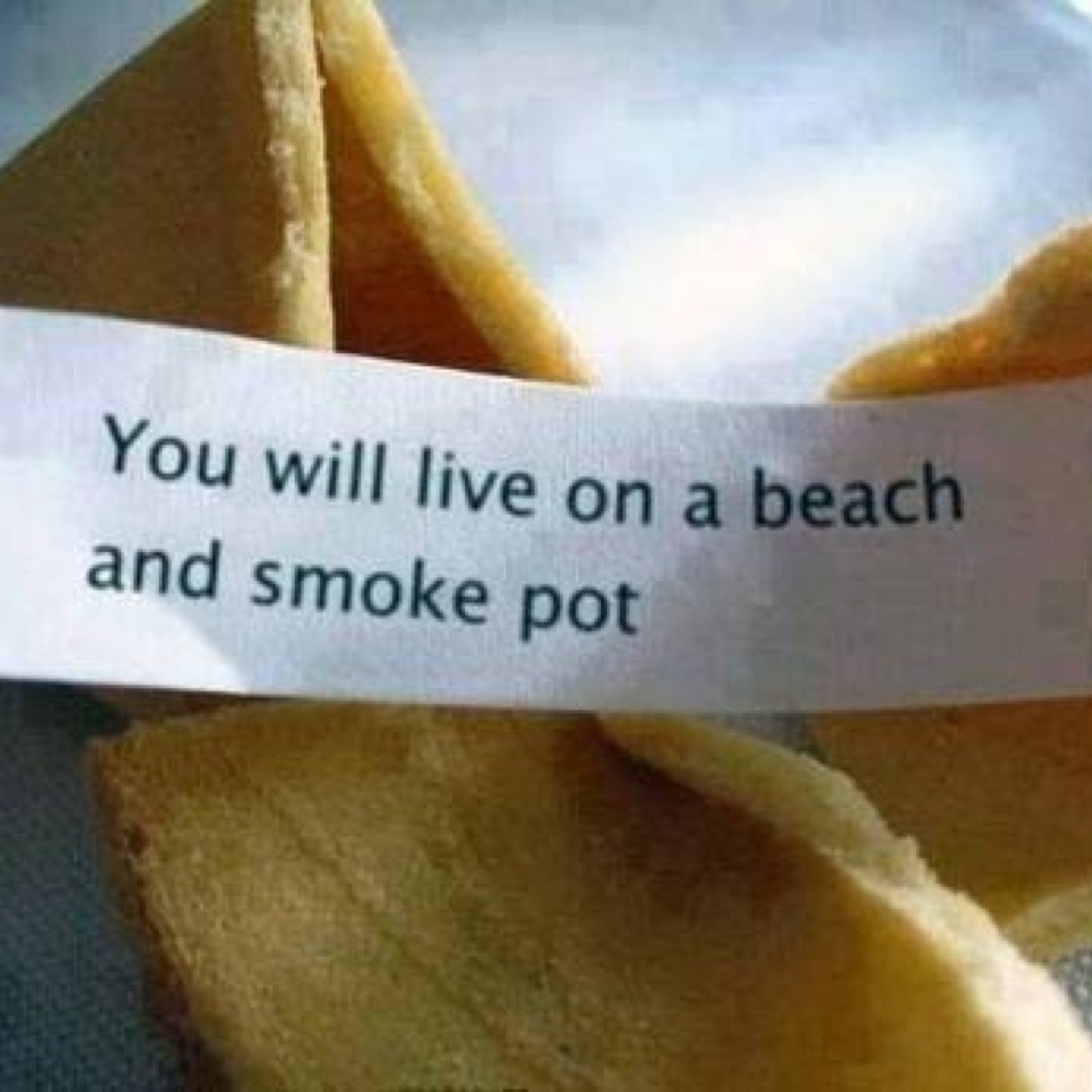 TheKeerrri83's profile picture. ☀️ Love the Beach Life ☀️Love surfing  Love Snowboarding ❄️ Love my 2 Daschund's  Love Movies  Love Music  Love to Party  Love my Friends