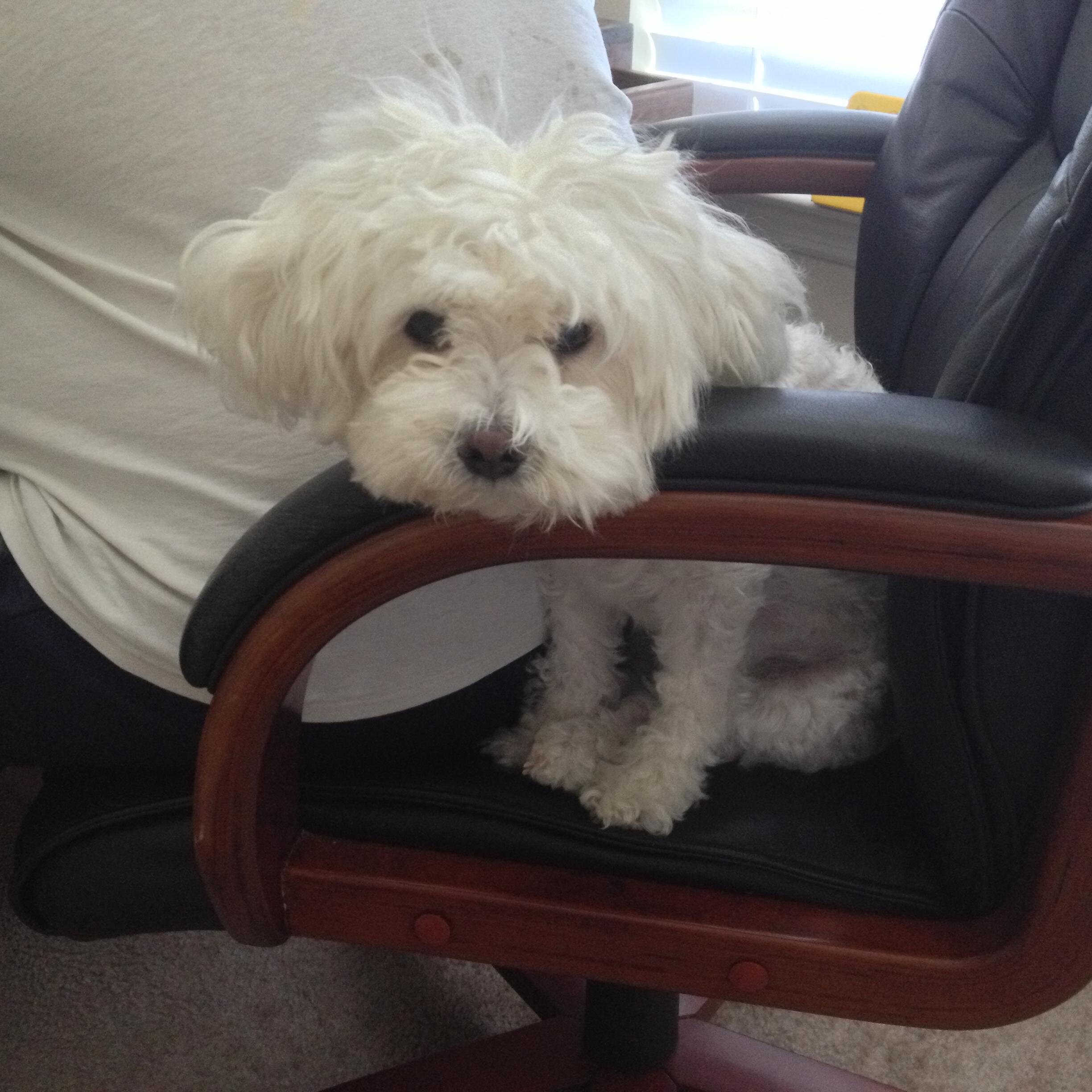 Retired attorney, judge, businessman.