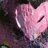 haymaypole's profile image