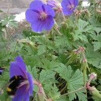 Paul Wilson (@montyreubenpaul) 's Twitter Profile Photo