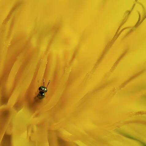 Love art. Love marketing. Love photography. Live what I love.