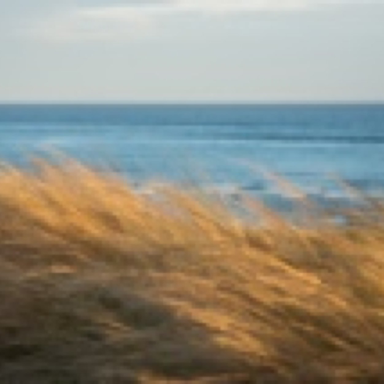 AHGardenDesign's profile picture. Anne Hamilton Garden Designer

Living Art for Living In