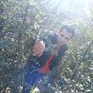 Hashem96M's profile picture. 